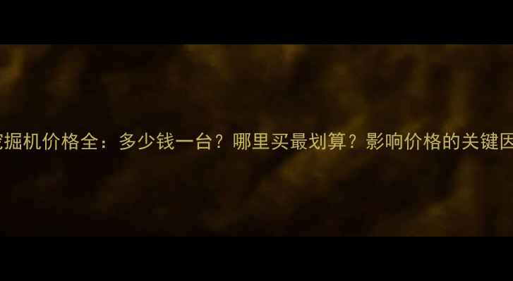 图片 二手犀牛挖掘机价格全：多少钱一台？哪里买最划算？影响价格的关键因素盘点！1