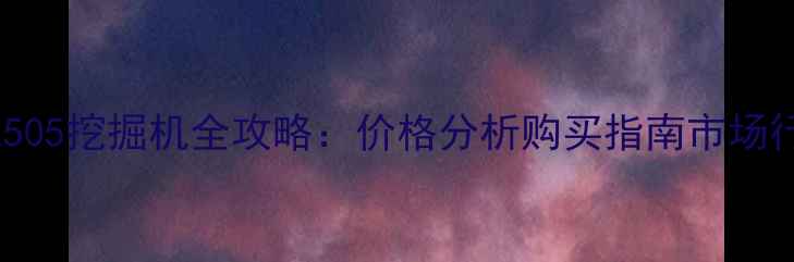 图片 二手现代505挖掘机全攻略：价格分析购买指南市场行情深度1