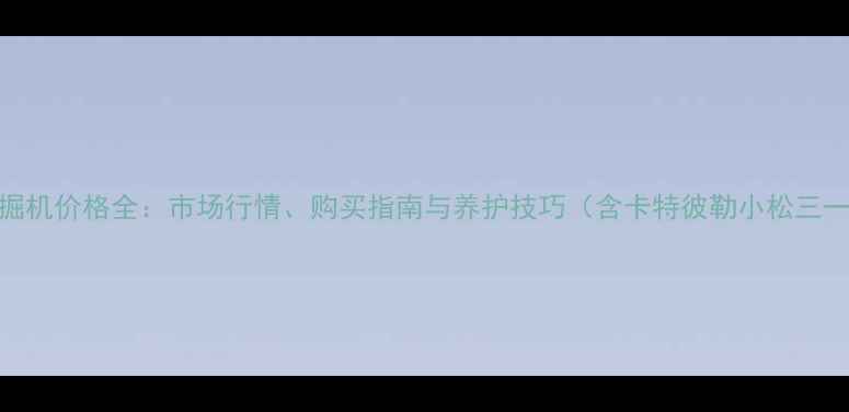 图片 二手轮式挖掘机价格全：市场行情、购买指南与养护技巧（含卡特彼勒小松三一品牌对比）