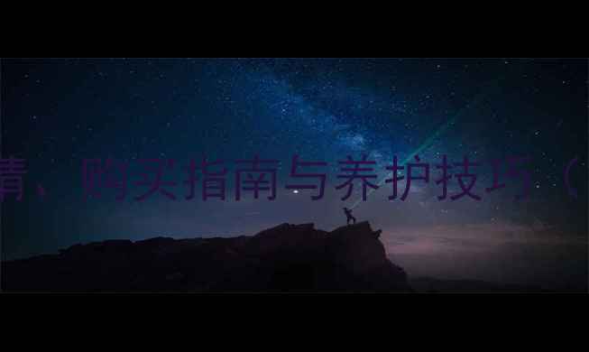 图片 二手轮式挖掘机价格全：市场行情、购买指南与养护技巧（含卡特彼勒小松三一品牌对比）1