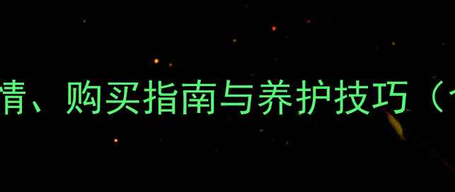 二手轮式挖掘机价格全市场行情购买指南与养护技巧含卡特彼勒小松三一品牌对比