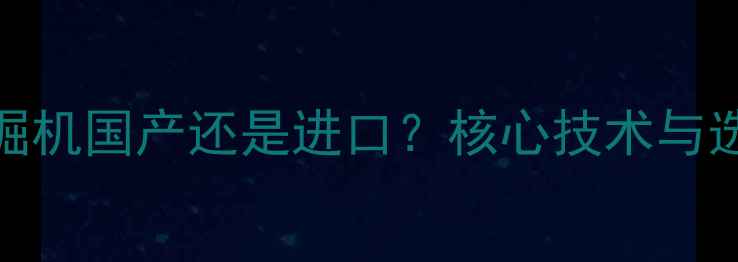 图片 住友挖掘机国产还是进口？核心技术与选购指南