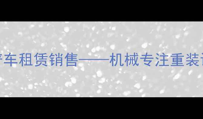 全国供应20台装载机20台铲车租赁销售机械专注重装设备20年支持定制化服务