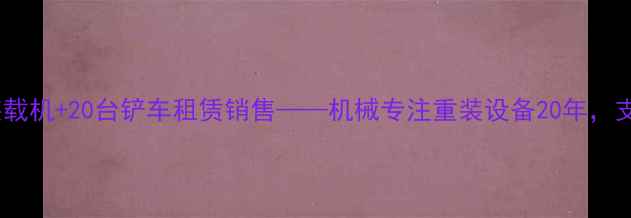 图片 全国供应20台装载机+20台铲车租赁销售——机械专注重装设备20年，支持定制化服务2