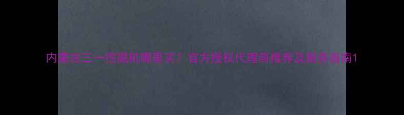 内蒙古三一挖掘机哪里买官方授权代理商推荐及服务指南