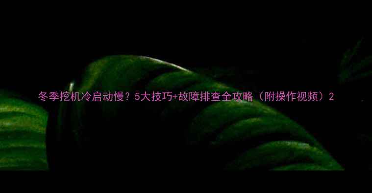 冬季挖机冷启动慢5大技巧故障排查全攻略附操作视频