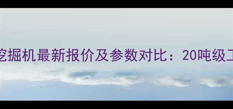 图片 凯斯210挖掘机最新报价及参数对比：20吨级工况性能2