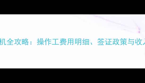 图片 出国开挖掘机全攻略：操作工费用明细、签证政策与收入支出对比1