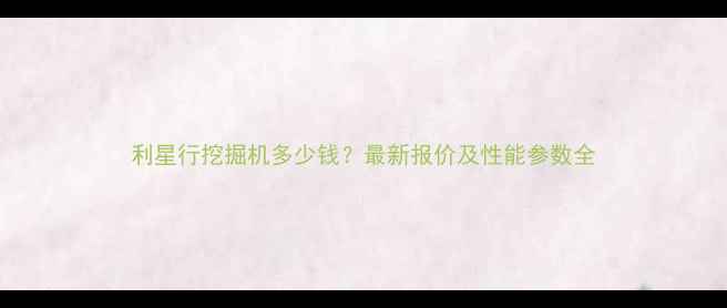 图片 利星行挖掘机多少钱？最新报价及性能参数全