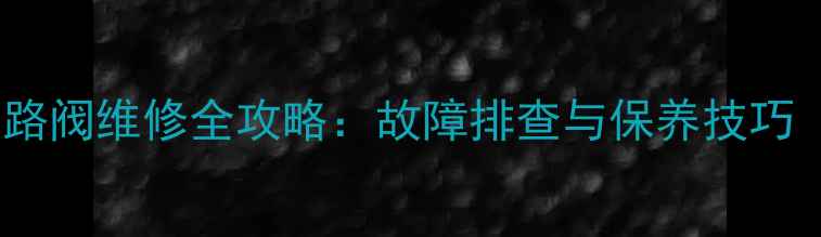 图片 力士乐挖掘机多路阀维修全攻略：故障排查与保养技巧（附高清图解）1