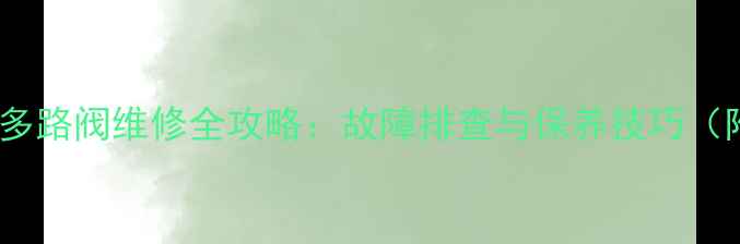 图片 力士乐挖掘机多路阀维修全攻略：故障排查与保养技巧（附高清图解）2