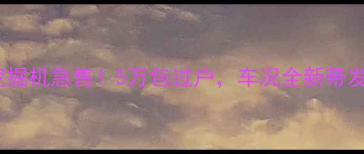 图片 南宁二手沃尔沃55挖掘机急售！5万包过户，车况全新带发票，支持实地看车1