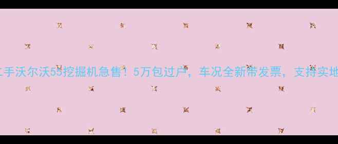 图片 南宁二手沃尔沃55挖掘机急售！5万包过户，车况全新带发票，支持实地看车2