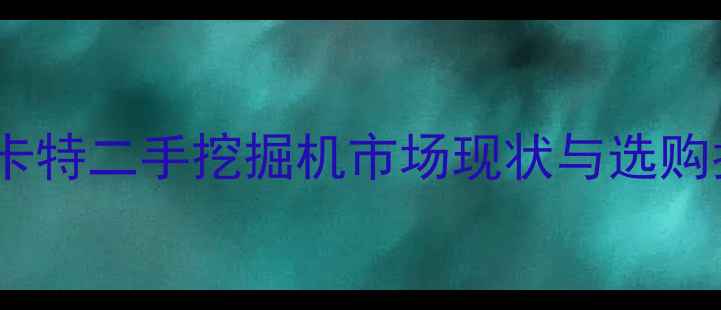 图片 南宁卡特二手挖掘机市场现状与选购指南2