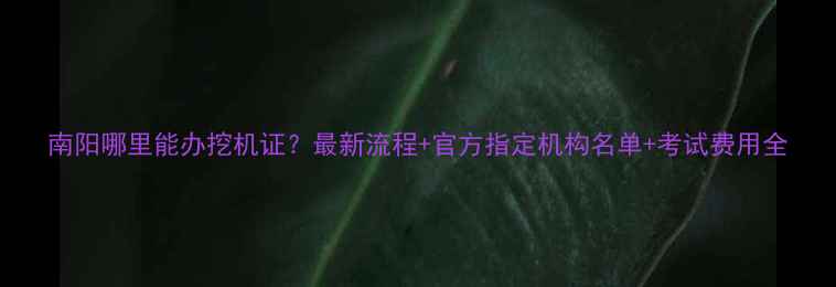 图片 南阳哪里能办挖机证？最新流程+官方指定机构名单+考试费用全