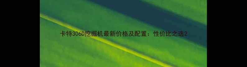 图片 卡特306D挖掘机最新价格及配置：性价比之选2