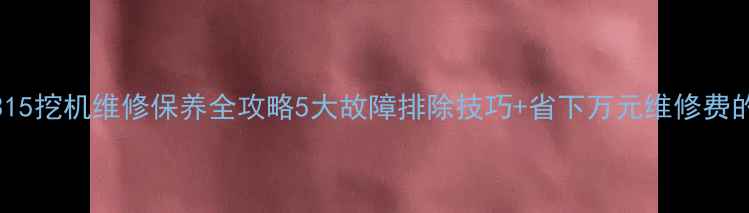 图片 卡特315挖机维修保养全攻略5大故障排除技巧+省下万元维修费的秘籍