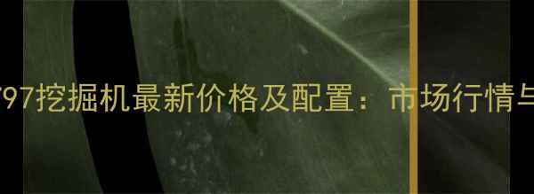 图片 卡特彼勒797挖掘机最新价格及配置：市场行情与选购指南