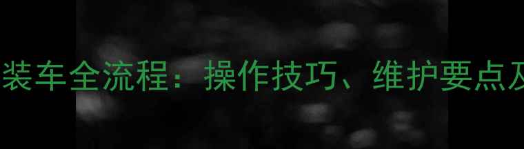 图片 卡特彼勒挖掘机装车全流程：操作技巧、维护要点及安全注意事项1