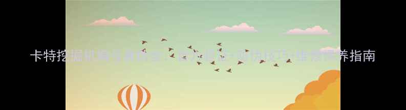 图片 卡特挖掘机编号真伪全：官方验证+防伪技巧+维修保养指南