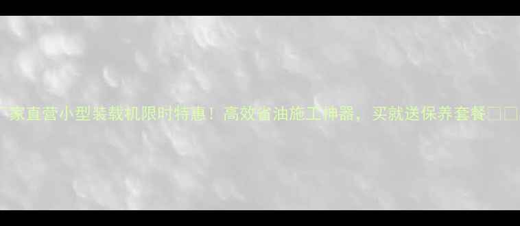 厂家直营小型装载机限时特惠高效省油施工神器买就送保养套餐