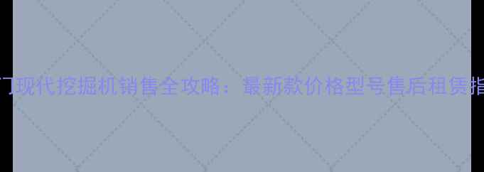 图片 厦门现代挖掘机销售全攻略：最新款价格型号售后租赁指南