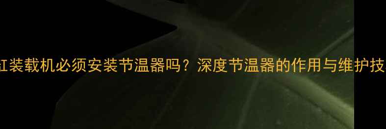 双缸装载机必须安装节温器吗深度节温器的作用与维护技巧
