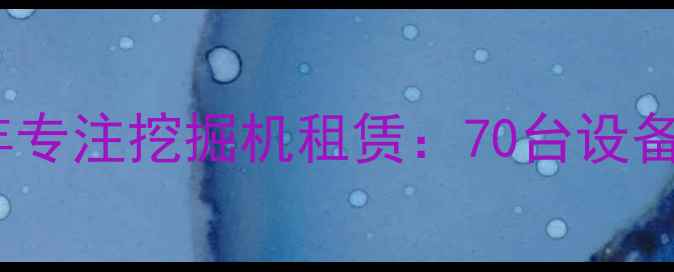 图片 嘉禾机械10年专注挖掘机租赁：70台设备服务全攻略2