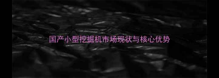国产小型挖掘机市场现状与核心优势