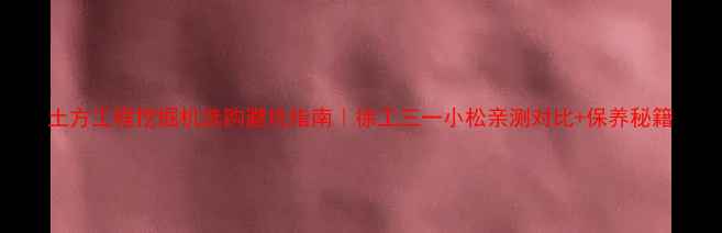 图片 土方工程挖掘机选购避坑指南｜徐工三一小松亲测对比+保养秘籍