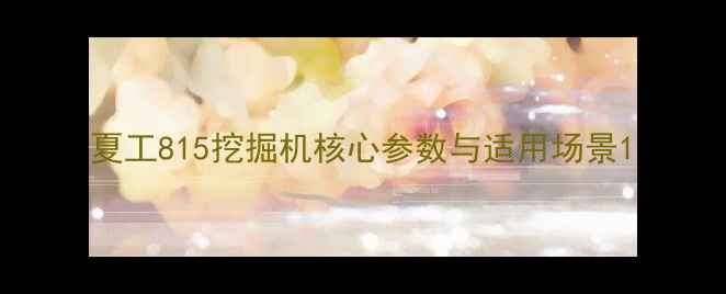 图片 夏工815挖掘机核心参数与适用场景1