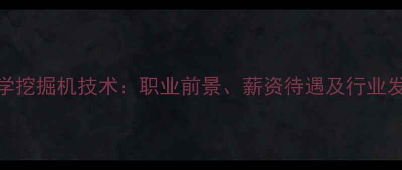 图片 大专毕业学挖掘机技术：职业前景、薪资待遇及行业发展趋势全