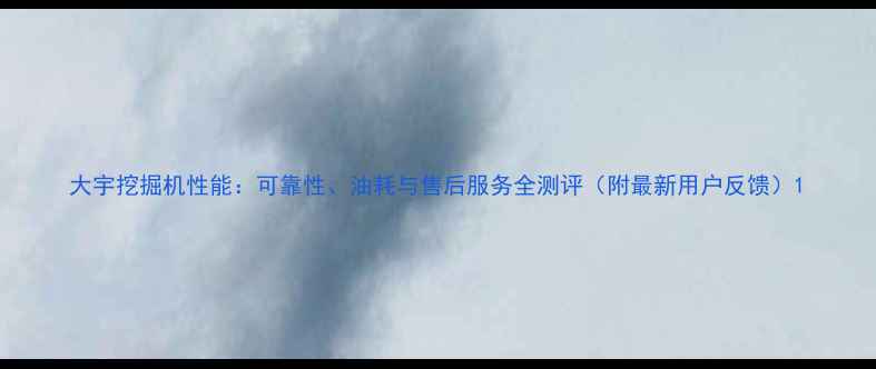 图片 大宇挖掘机性能：可靠性、油耗与售后服务全测评（附最新用户反馈）1