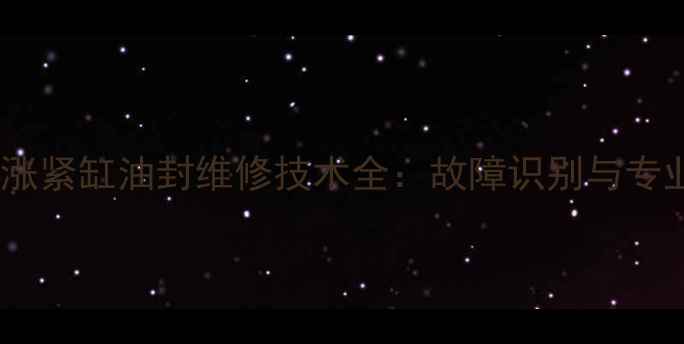 大宇挖掘机涨紧缸油封维修技术全故障识别与专业更换指南