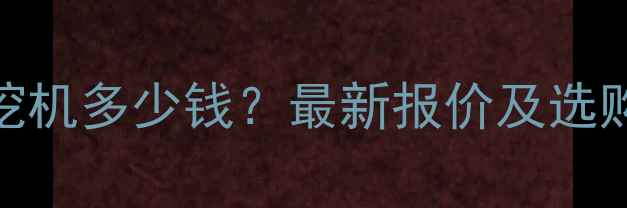 大连清远进口微型小挖机多少钱最新报价及选购指南附品牌推荐