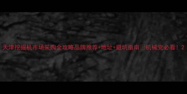 天津挖掘机市场采购全攻略品牌推荐地址避坑指南机械党必看