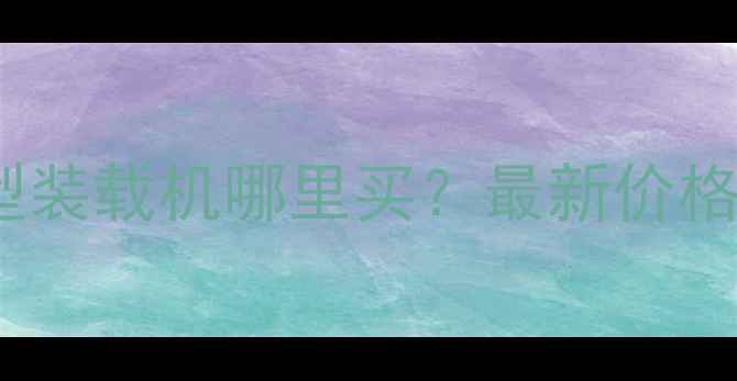 宁德二手小型装载机哪里买最新价格与购买指南