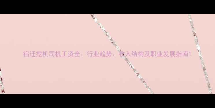 图片 宿迁挖机司机工资全：行业趋势、收入结构及职业发展指南1