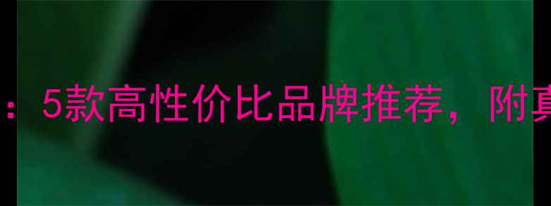 小型挖掘机选购指南5款高性价比品牌推荐附真实使用体验