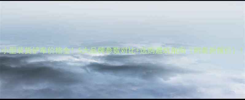 小型装货铲车价格全5大品牌参数对比选购避坑指南附最新报价