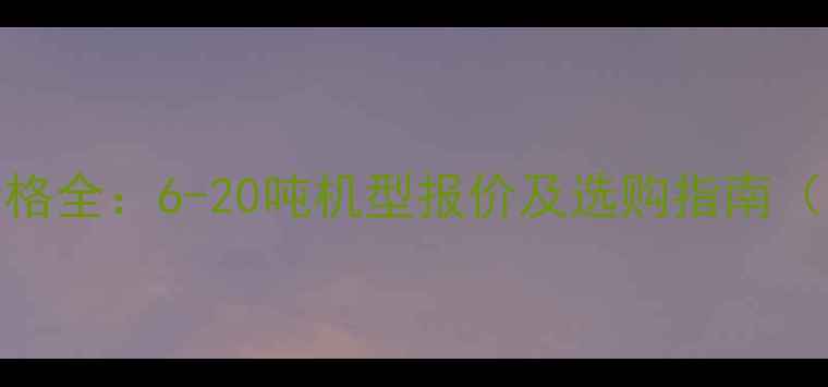小挖掘机6吨以上价格全6-20吨机型报价及选购指南附详细参数对比