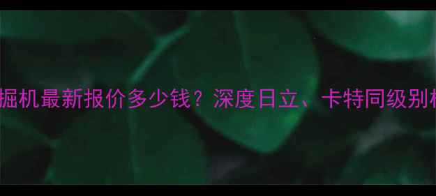 图片 小松1200挖掘机最新报价多少钱？深度日立、卡特同级别机型性价比1