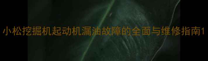 图片 小松挖掘机起动机漏油故障的全面与维修指南1