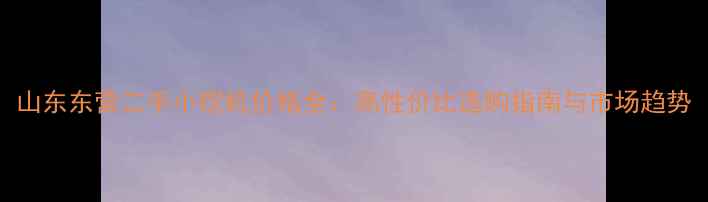 图片 山东东营二手小挖机价格全：高性价比选购指南与市场趋势