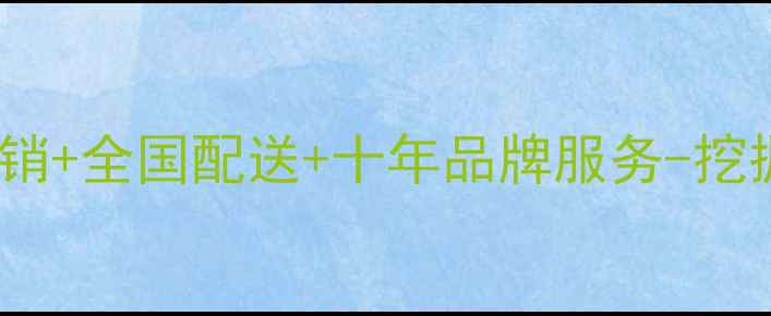 山东临工挖机总经销-厂家直销全国配送十年品牌服务-挖掘机价格维修配件一站式采购
