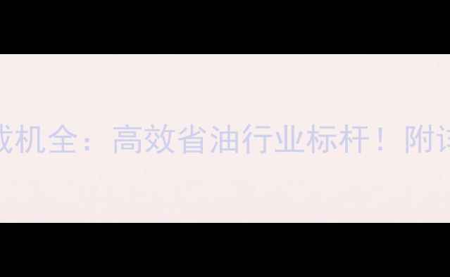 图片 山东临工集装箱装载机全：高效省油行业标杆！附详细参数与使用指南