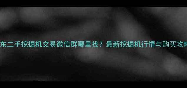 图片 山东二手挖掘机交易微信群哪里找？最新挖掘机行情与购买攻略2