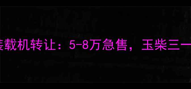 图片 山东地区二手小型装载机转让：5-8万急售，玉柴三一品牌，包过户手续1