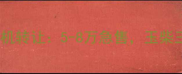 图片 山东地区二手小型装载机转让：5-8万急售，玉柴三一品牌，包过户手续2