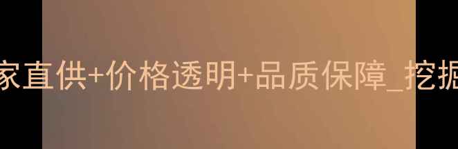图片 山东小型挖机配件供应_厂家直供+价格透明+品质保障_挖掘机零部件一站式采购指南2